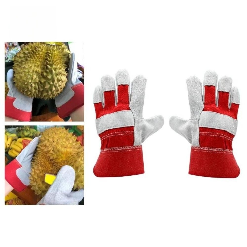 Cut Resistant Glove - Luvas de Jardinagem em Couro de